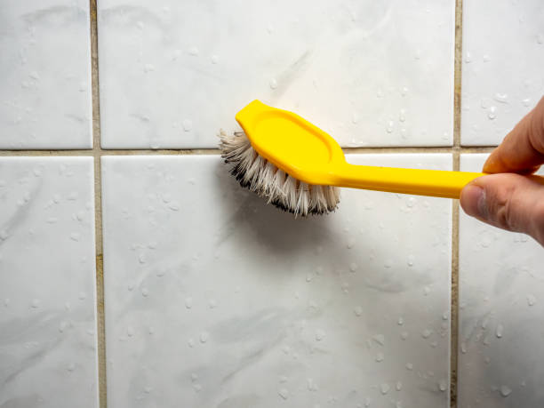 Best Attic Mold Removal  in Oak Brook, IL